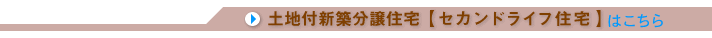 �y�n�t�V�z�����Z��y�Z�J���h���C�t�Z��z